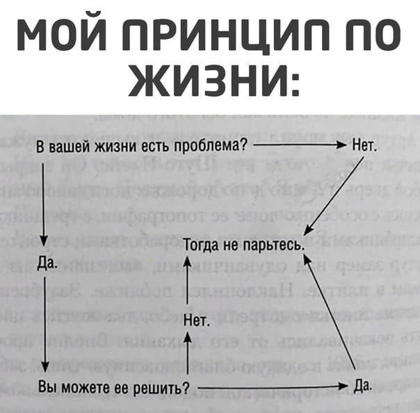 Мой принцип по жизни — схема.